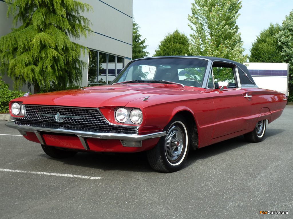 Images of Ford Thunderbird Town Landau Coupe (63D) 1966 (1024 x 768)