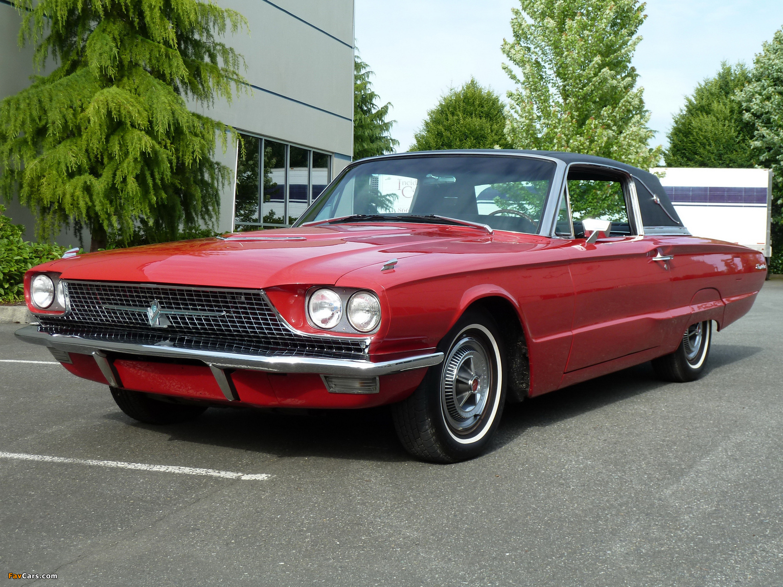 Images of Ford Thunderbird Town Landau Coupe (63D) 1966 (1600 x 1200)