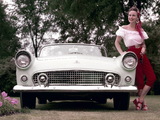 Photos of Ford Thunderbird 1956