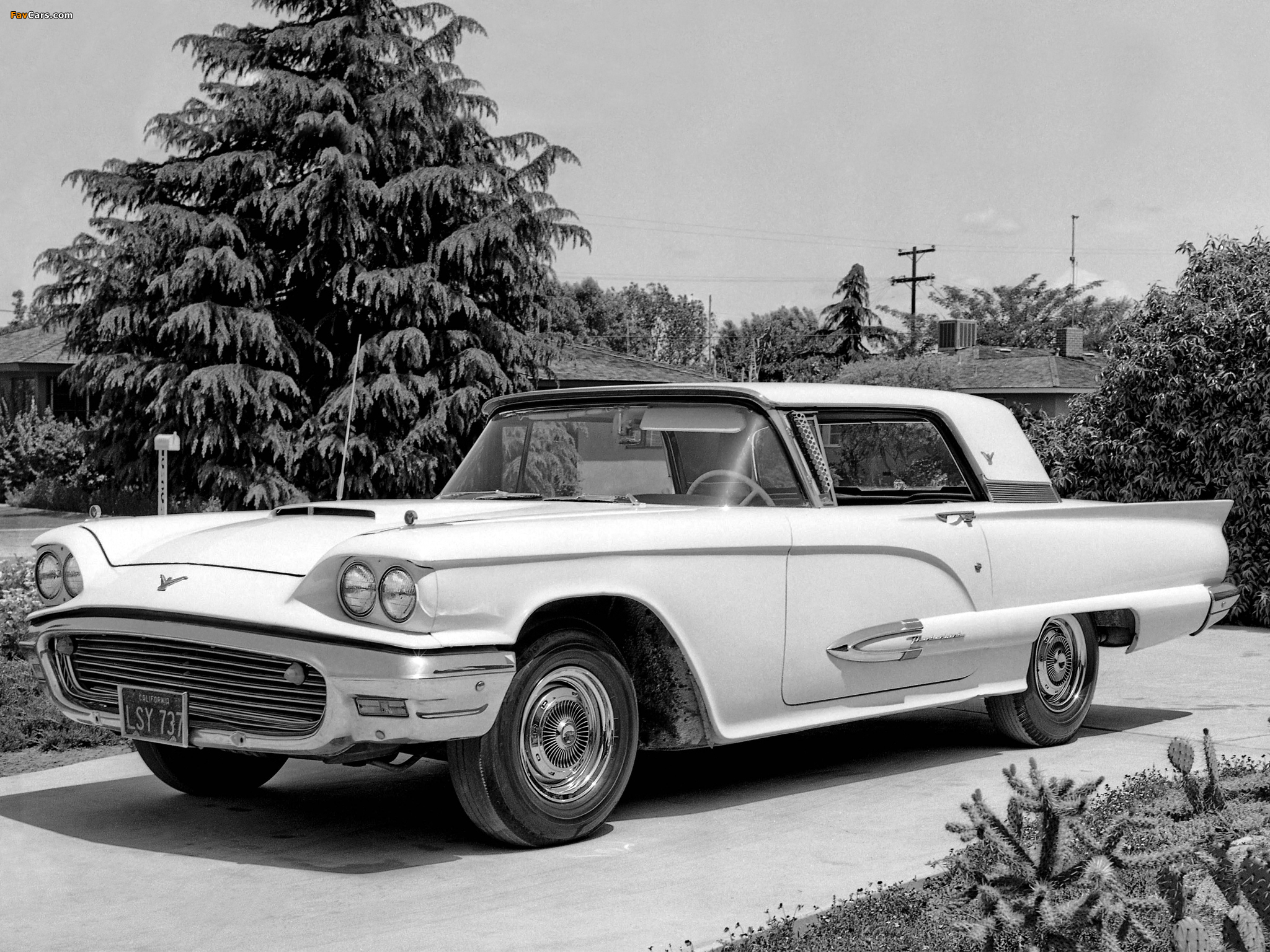 Photos of Ford Thunderbird 1959 (2048 x 1536)