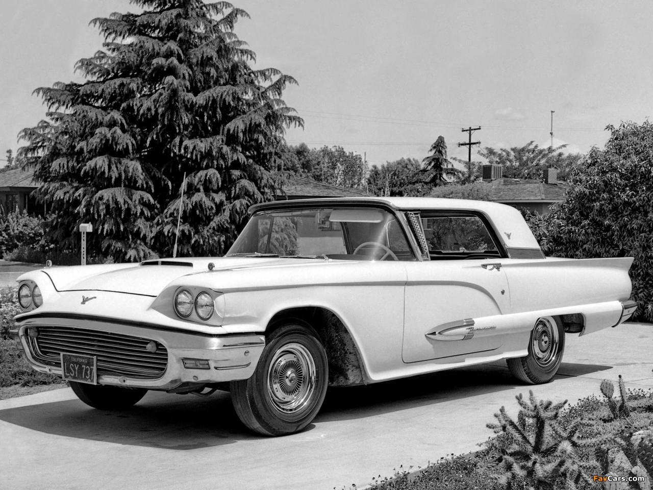 Photos of Ford Thunderbird 1959 (1280 x 960)