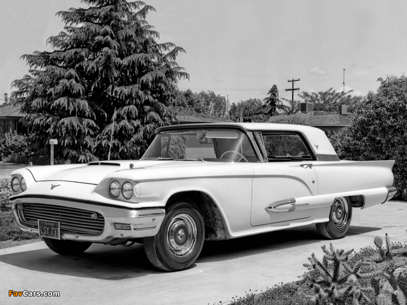 Photos of Ford Thunderbird 1959 (800 x 600)