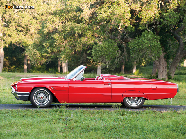 Photos of Ford Thunderbird 1964–66 (640 x 480)