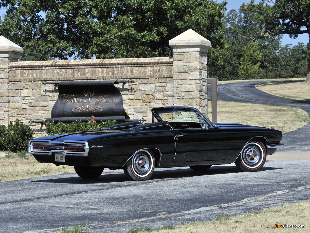 Photos of Ford Thunderbird Convertible (76A) 1966 (1024 x 768)