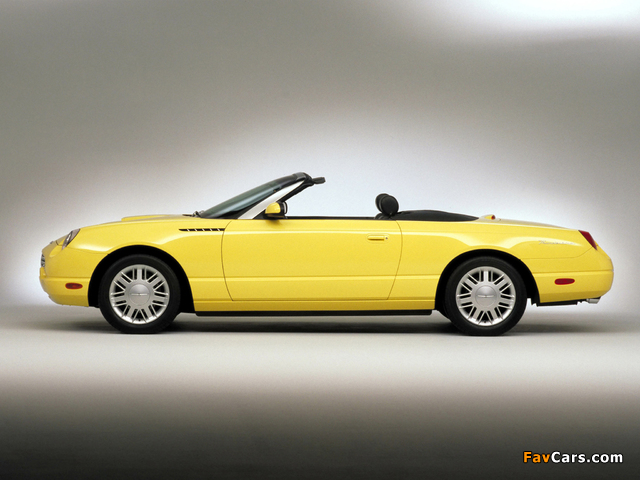 Photos of Ford Thunderbird 2002–05 (640 x 480)