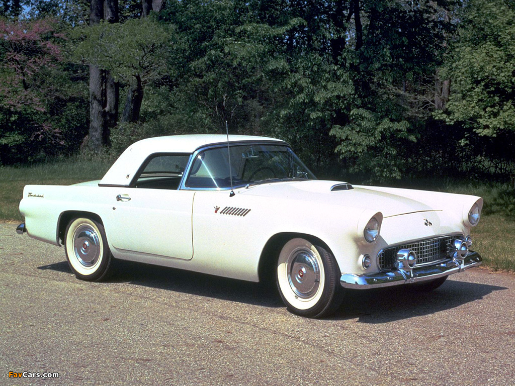 Pictures of Ford Thunderbird 1955 (1024 x 768)