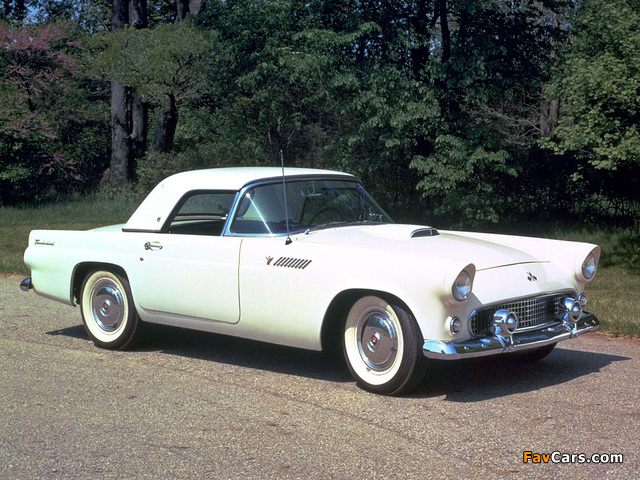 Pictures of Ford Thunderbird 1955 (640 x 480)