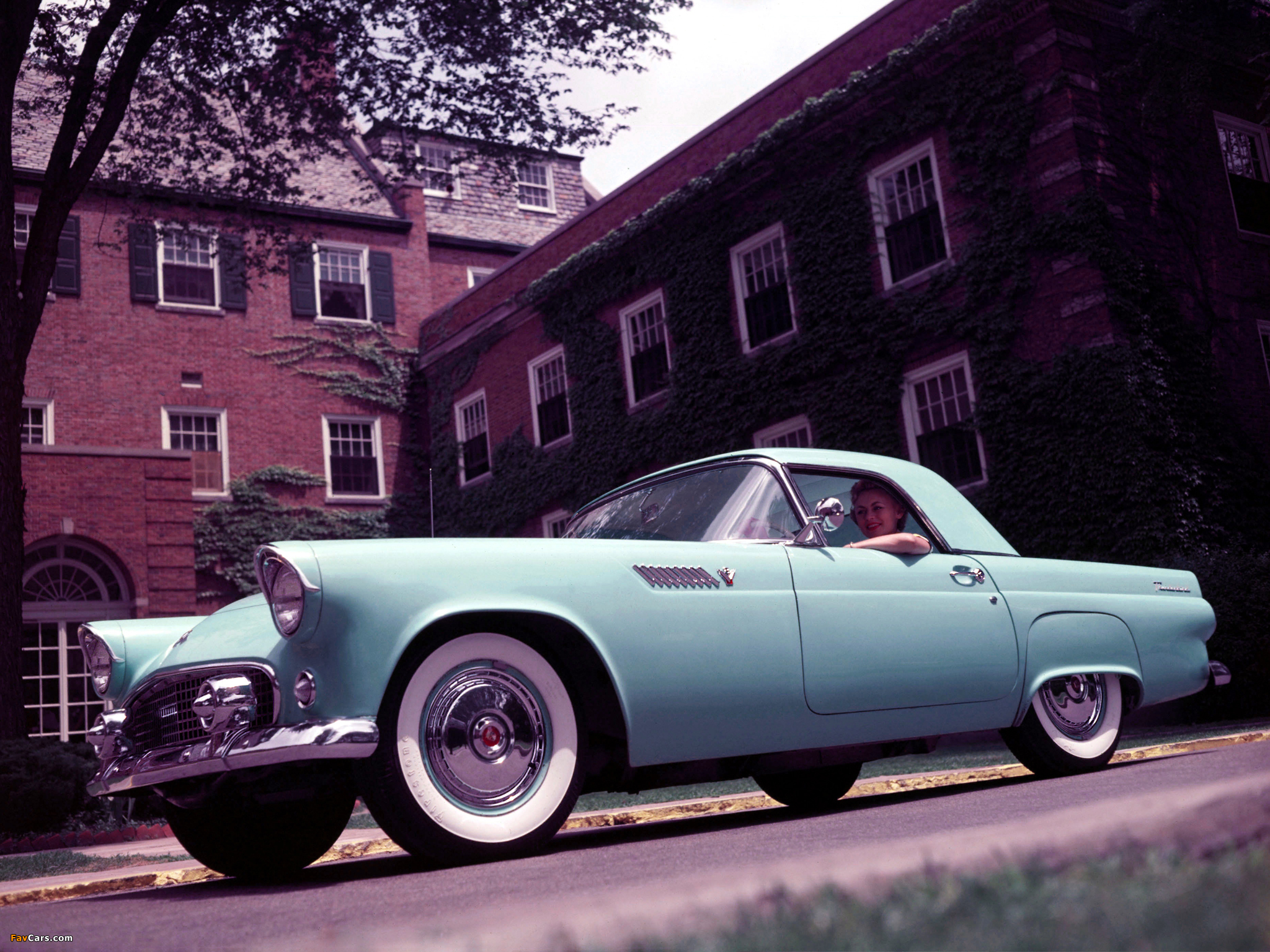 Pictures of Ford Thunderbird 1955 (2048 x 1536)