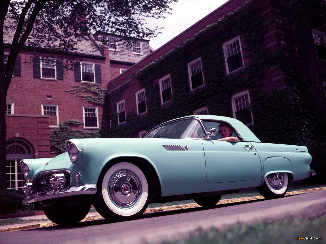 Pictures of Ford Thunderbird 1955 (1280 x 960)