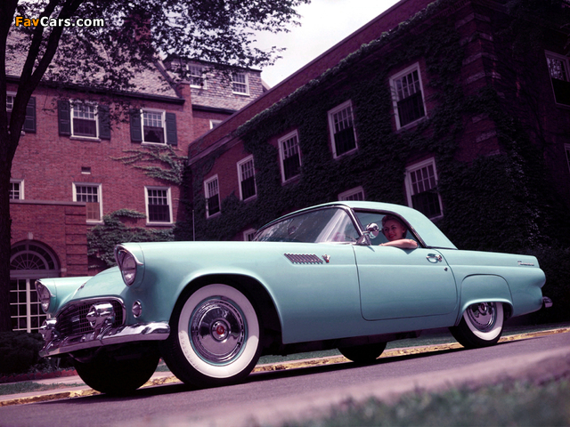 Pictures of Ford Thunderbird 1955 (640 x 480)