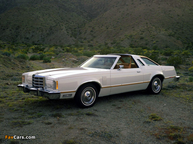 Pictures of Ford Thunderbird T-Roof Convertible 1979 (640 x 480)