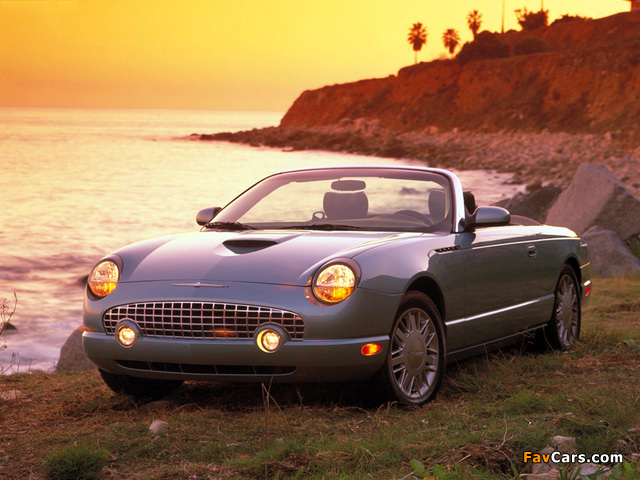 Pictures of Ford Thunderbird 2002–05 (640 x 480)