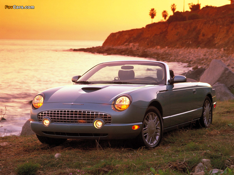 Pictures of Ford Thunderbird 2002–05 (800 x 600)