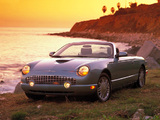 Pictures of Ford Thunderbird 2002–05
