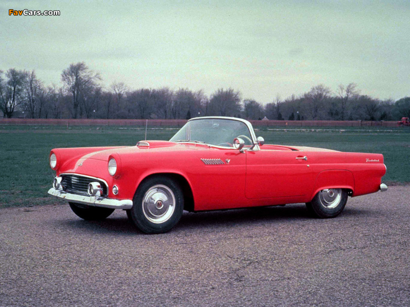 Ford Thunderbird 1955 wallpapers (800 x 600)
