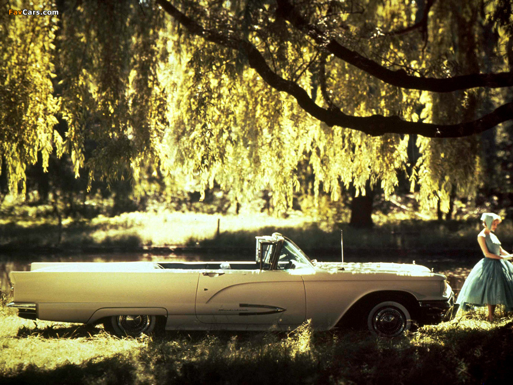 Ford Thunderbird Convertible (76A) 1959 wallpapers (1024 x 768)