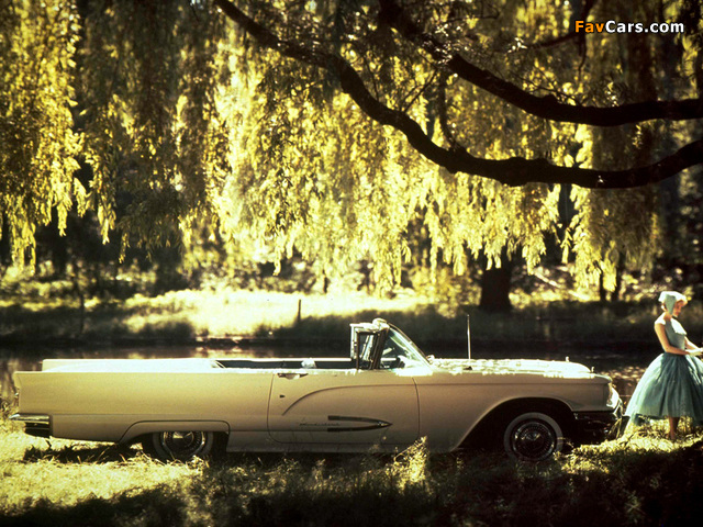 Ford Thunderbird Convertible (76A) 1959 wallpapers (640 x 480)