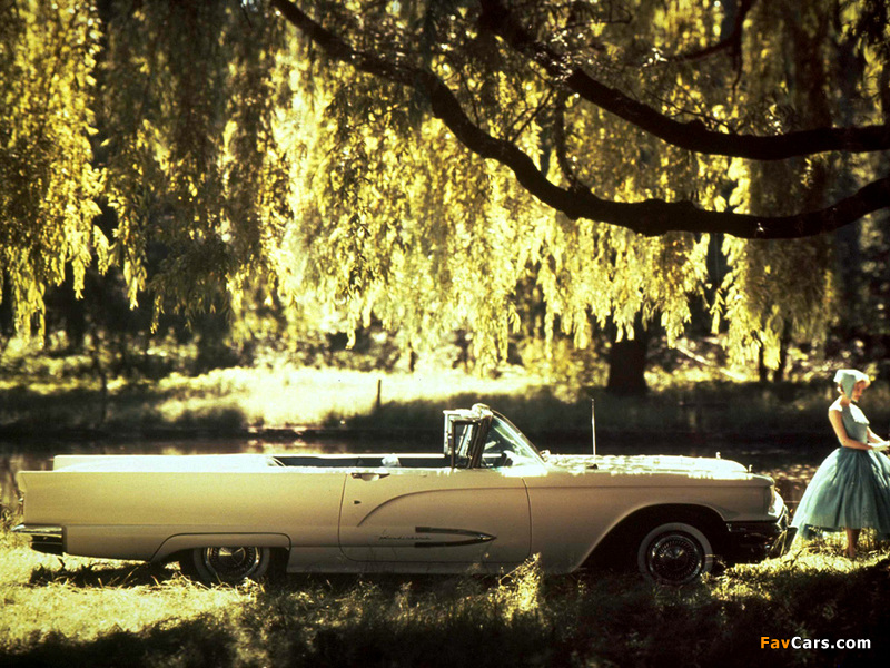 Ford Thunderbird Convertible (76A) 1959 wallpapers (800 x 600)