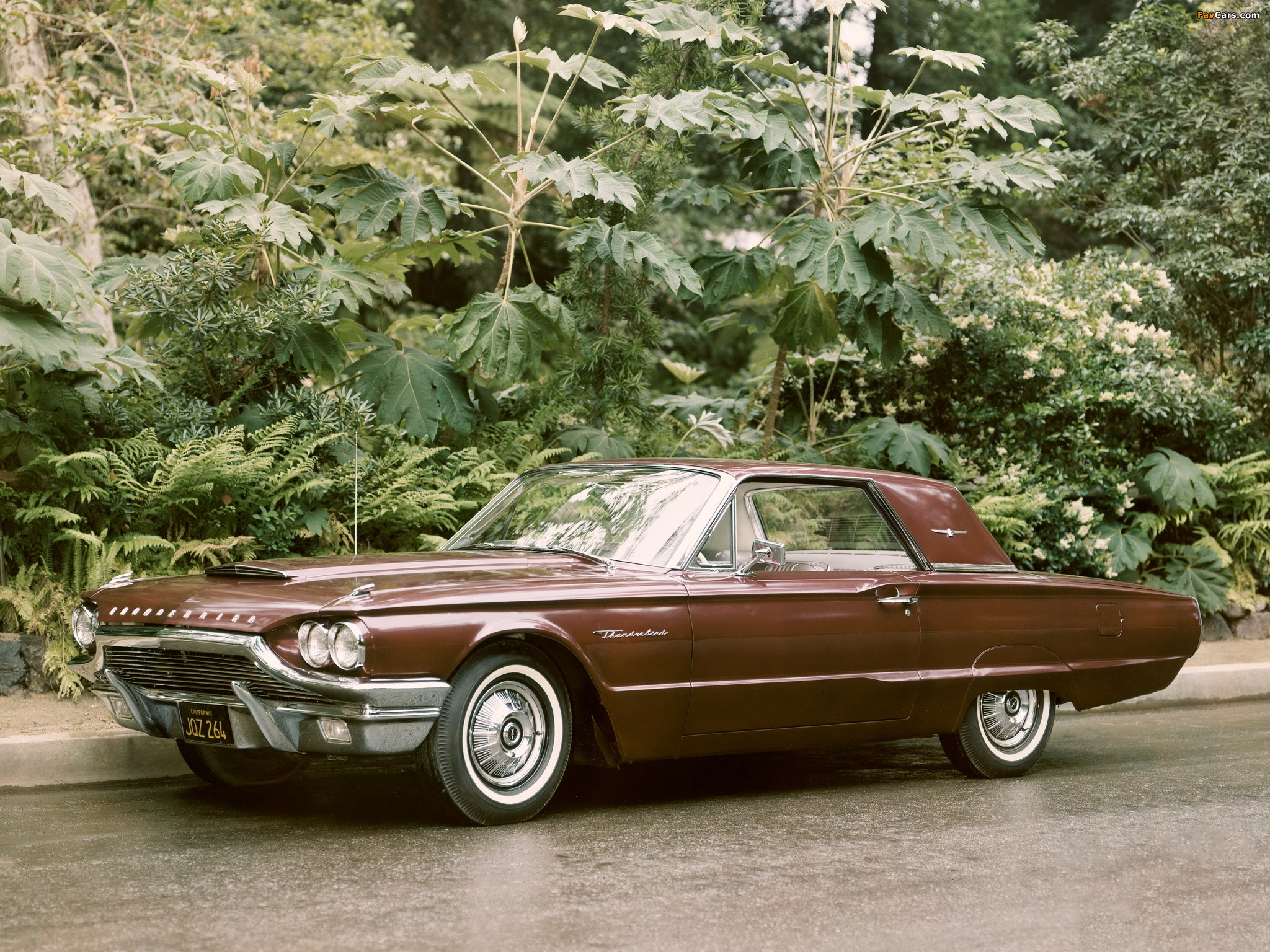 Ford Thunderbird Hardtop Coupe (63A) 1964 wallpapers (2048 x 1536)