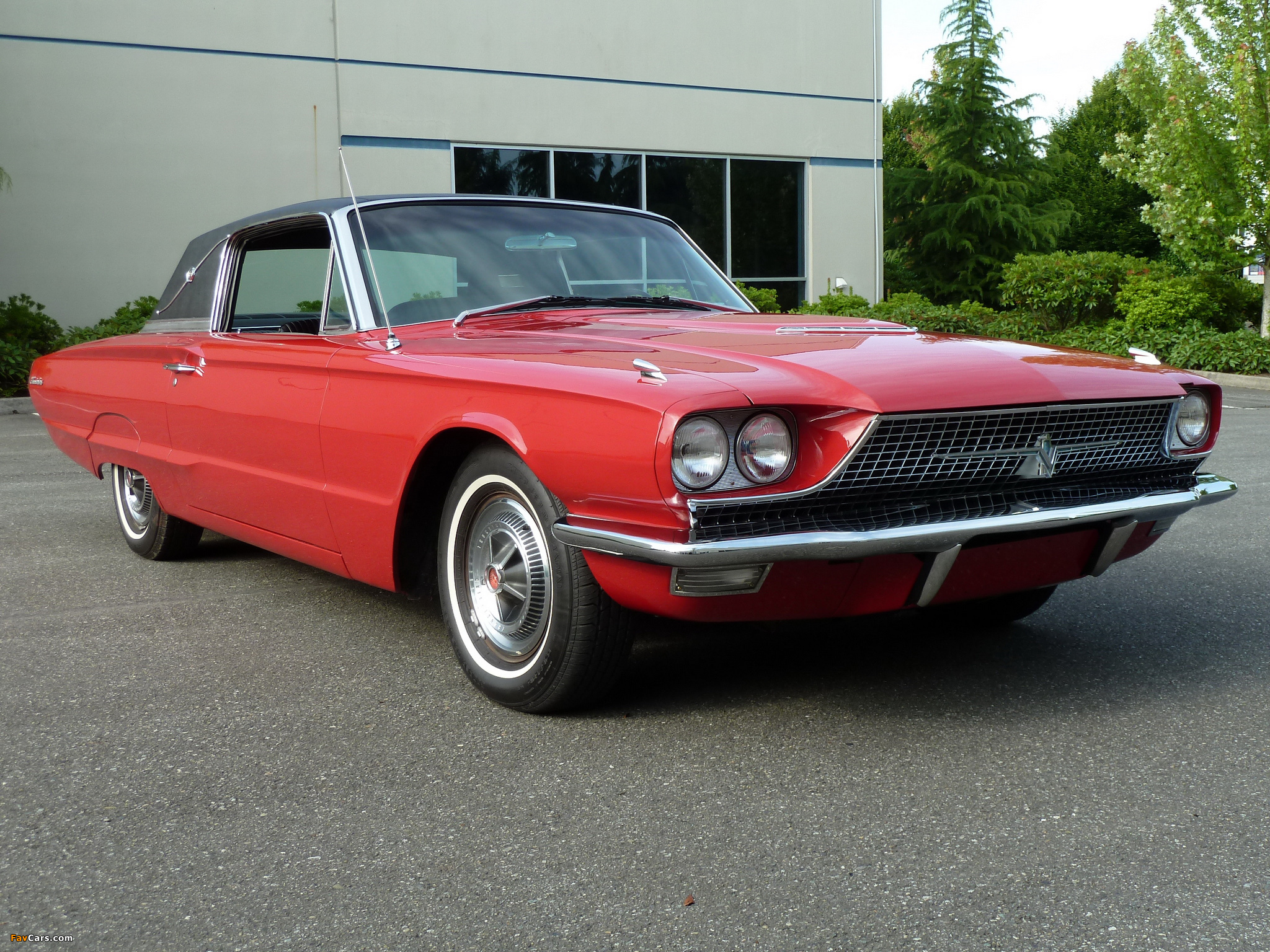 Ford Thunderbird Town Landau Coupe (63D) 1966 wallpapers (2048 x 1536)