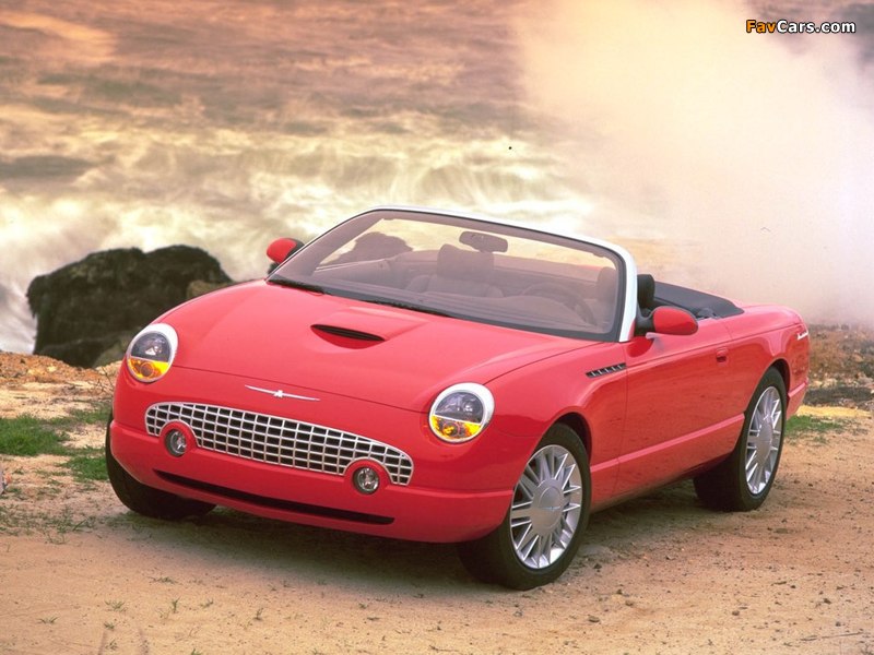 Ford Thunderbird 2002–05 wallpapers (800 x 600)