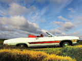 Images of Ford Torino GT Convertible (76F) 1971