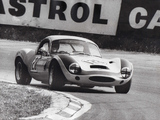 Photos of Ginetta G4 Coupe 1963–66