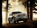 Pictures of GMC Sierra Crew Cab 2006–10