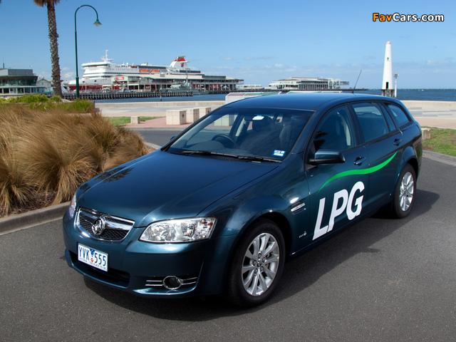 Photos of Holden Berlina Sportwagon LPG (VE Series II) 2012–13 (640 x 480)