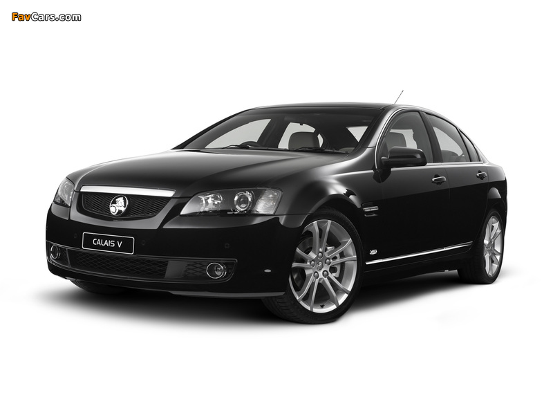 Pictures of Holden VE Calais V 60th Anniversary 2008 (800 x 600)