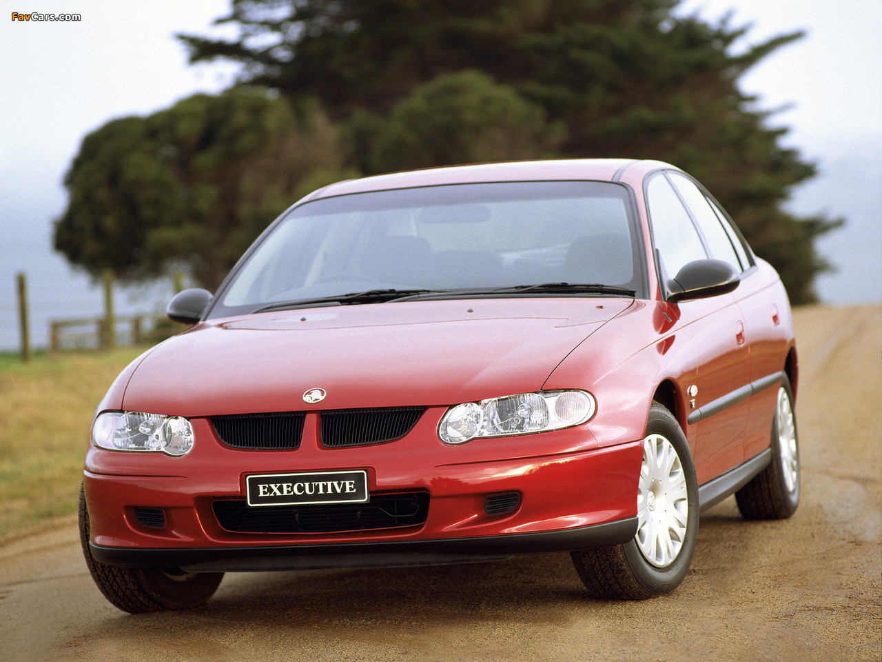 Photos of Holden Commodore (VX) 2000–02 (1280 x 960)