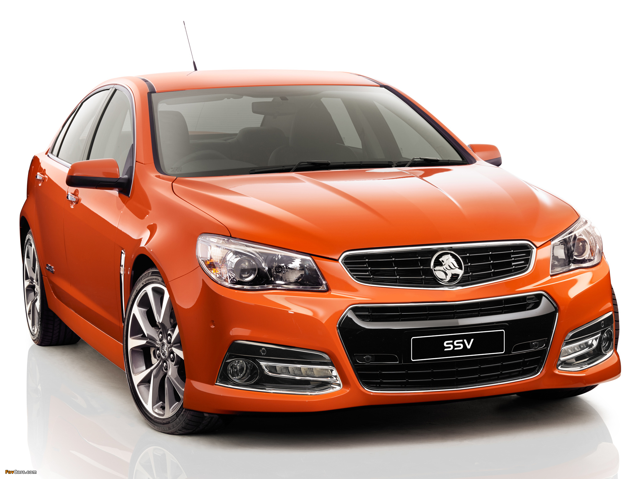 Pictures of Holden Commodore SS V (VF) 2013 (2048 x 1536)