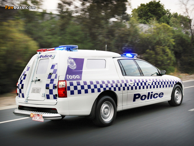 Holden VZ Crewman Divisional Van Police 2004 photos (640 x 480)