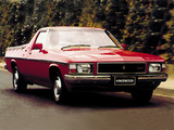 Pictures of Holden Kingswood Ute (WB) 1980–84