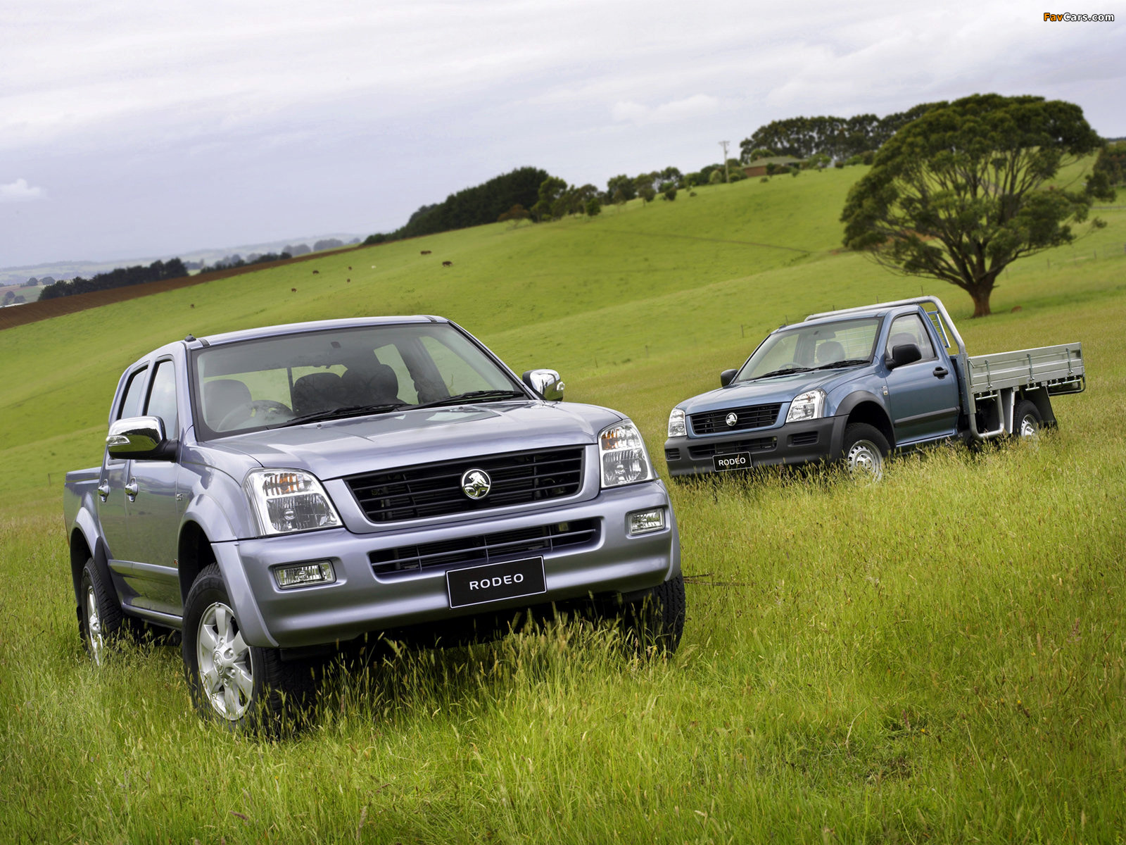 Holden Rodeo photos (1600 x 1200)