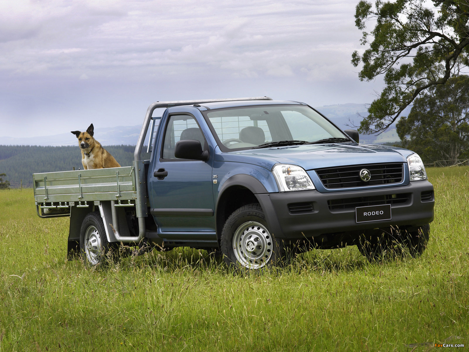 Photos of Holden Rodeo Single Chassis Cab 2003–06 (1600 x 1200)