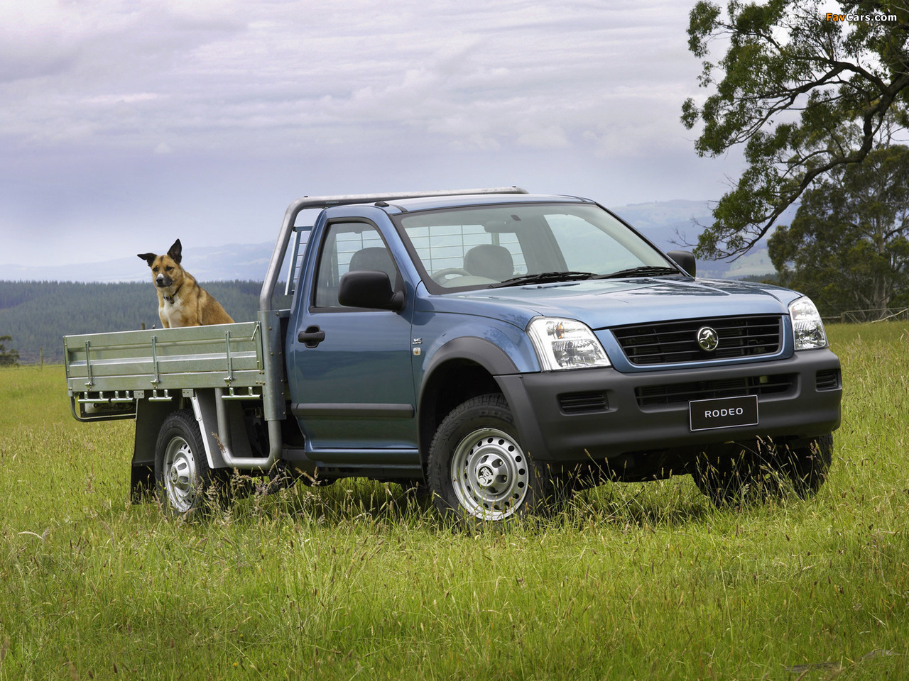 Photos of Holden Rodeo Single Chassis Cab 2003–06 (1280 x 960)
