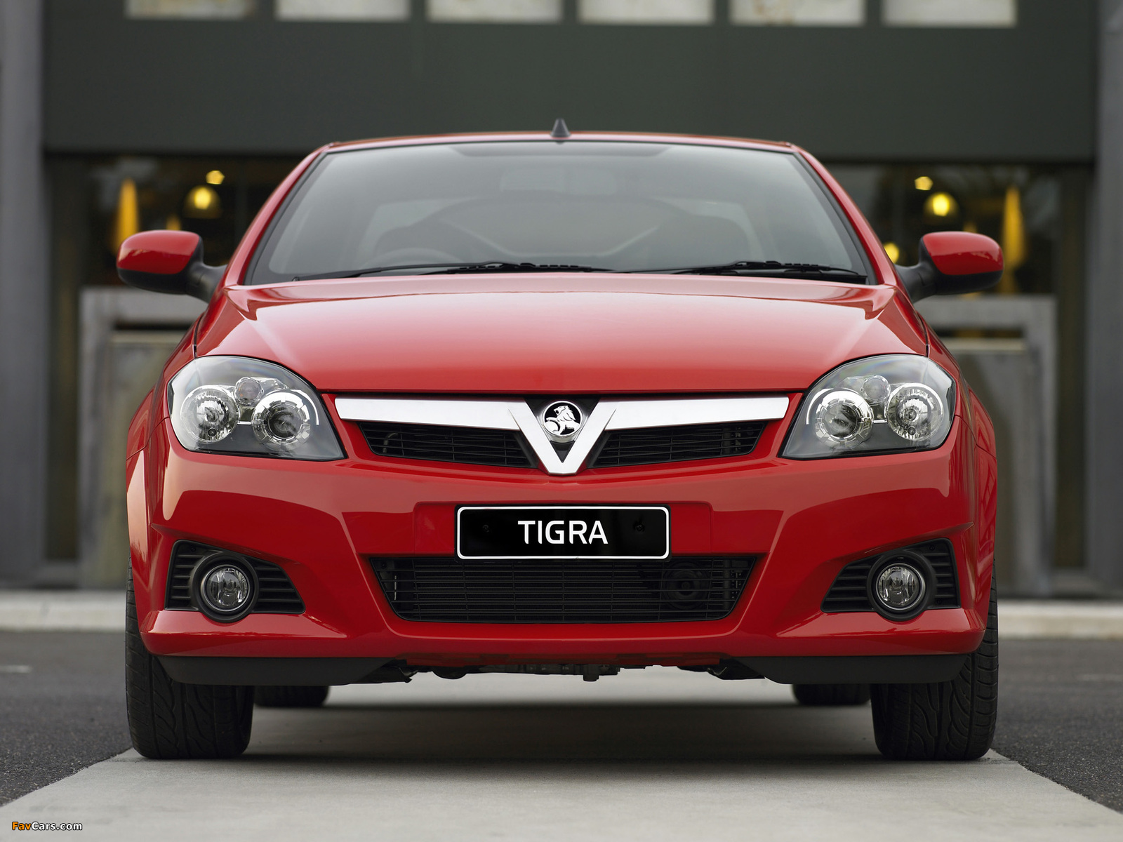 Photos of Holden Tigra (XC) 2005–09 (1600 x 1200)