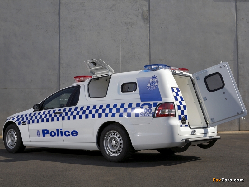 Images of Holden Omega Ute Police (VE) 2007–10 (800 x 600)