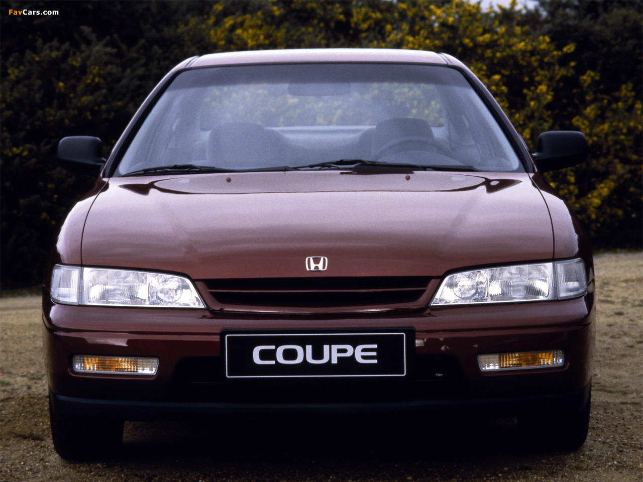 Honda Accord Sedan US-spec (CD) 1994–97 photos (1280 x 960)