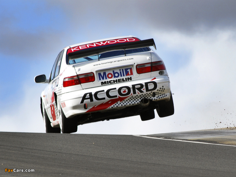 Honda Accord BTCC 1999–2000 pictures (800 x 600)