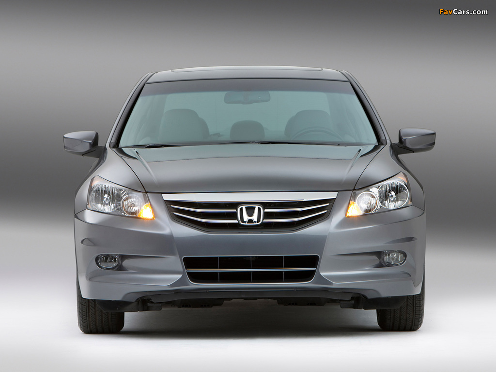 Honda Accord Sedan EX-L US-spec 2010–12 wallpapers (1024 x 768)