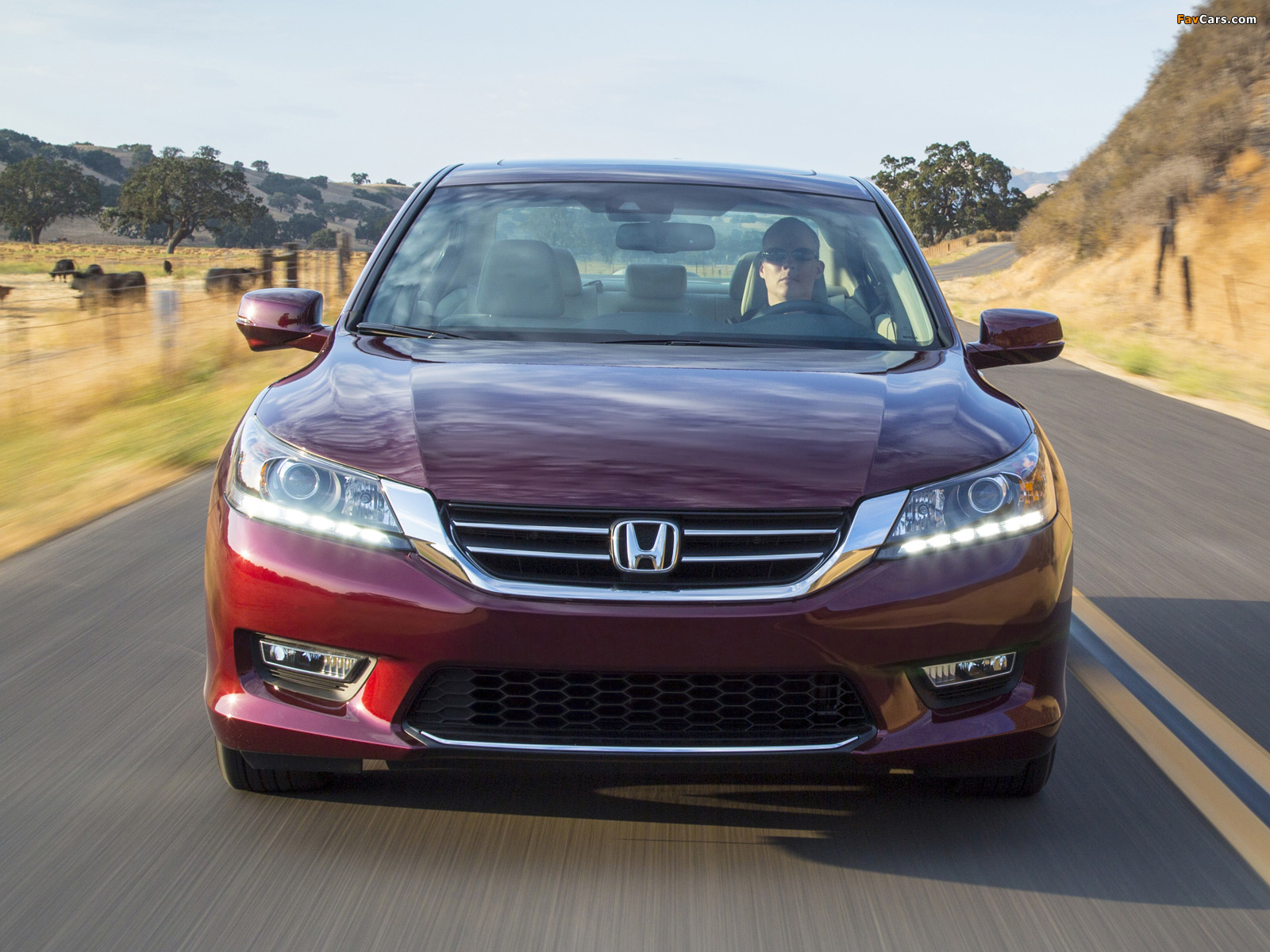 Honda Accord EX-L V6 Sedan 2012 pictures (1600 x 1200)