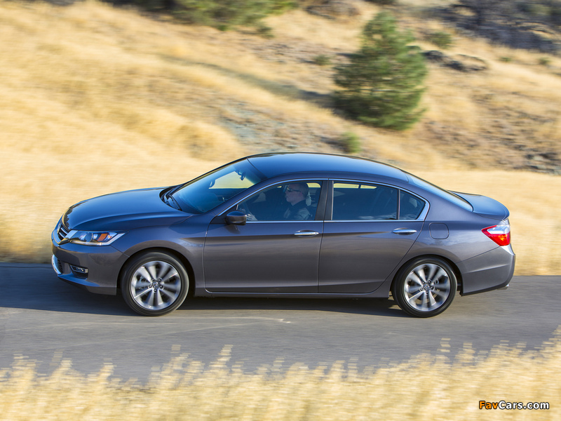 Images of Honda Accord Sport Sedan 2012 (800 x 600)