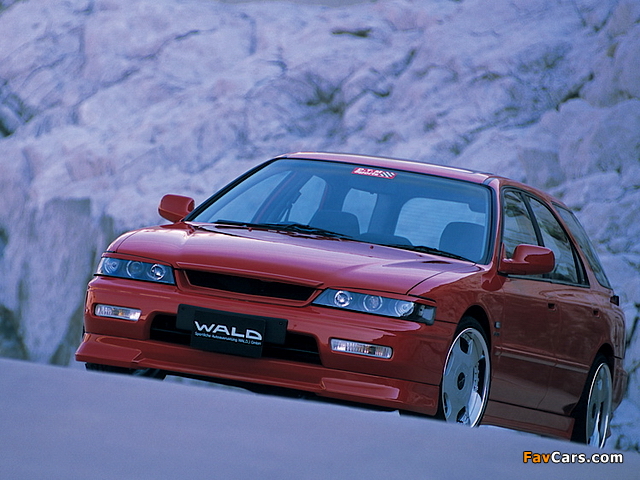 Pictures of WALD Honda Accord Wagon (CE) 1996–98 (640 x 480)