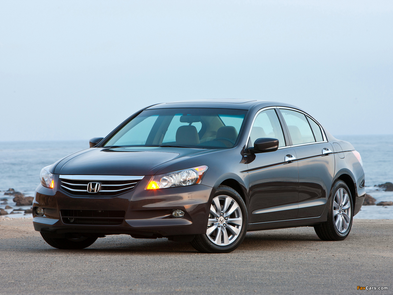 Pictures of Honda Accord Sedan EX-L US-spec 2010–12 (1280 x 960)