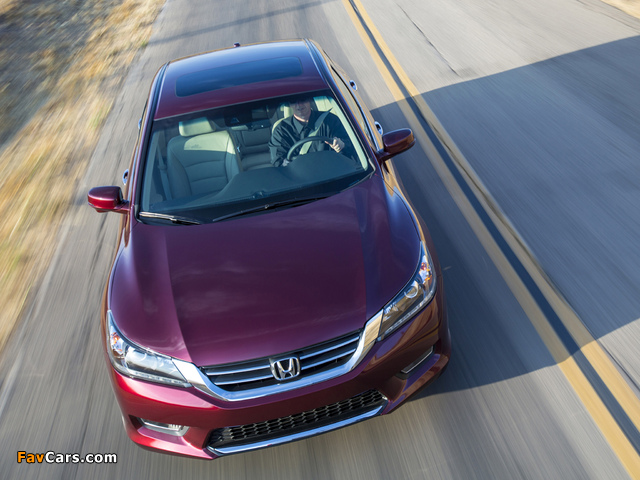 Pictures of Honda Accord EX-L V6 Sedan 2012 (640 x 480)