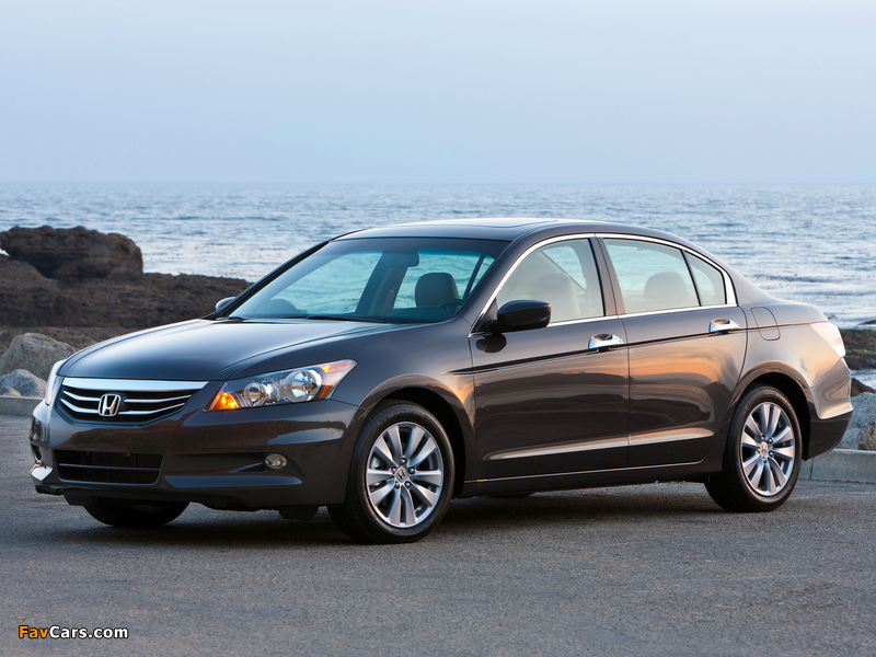 Honda Accord Sedan EX-L US-spec 2010–12 wallpapers (800 x 600)