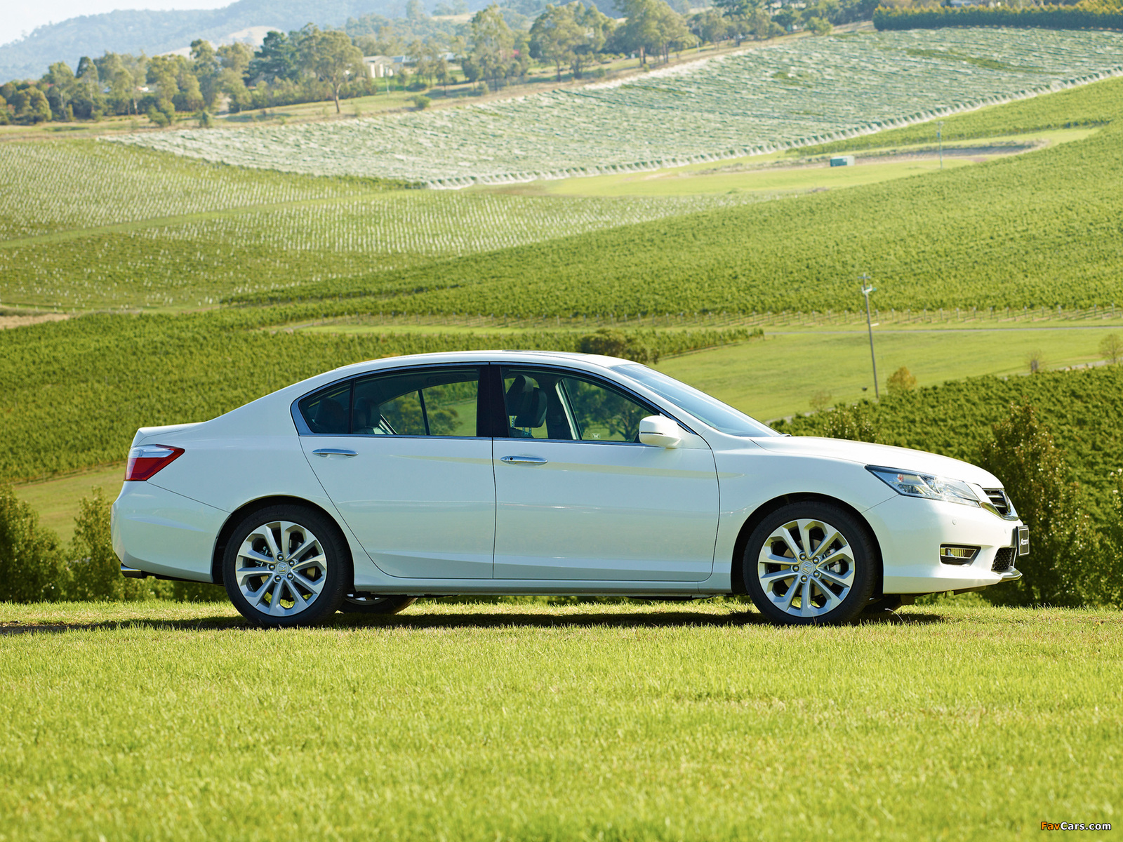 Honda Accord Sedan AU-spec 2013 wallpapers (1600 x 1200)