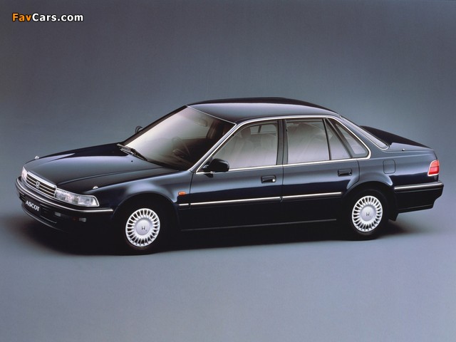 Honda Ascot (CB) 1989–93 images (640 x 480)